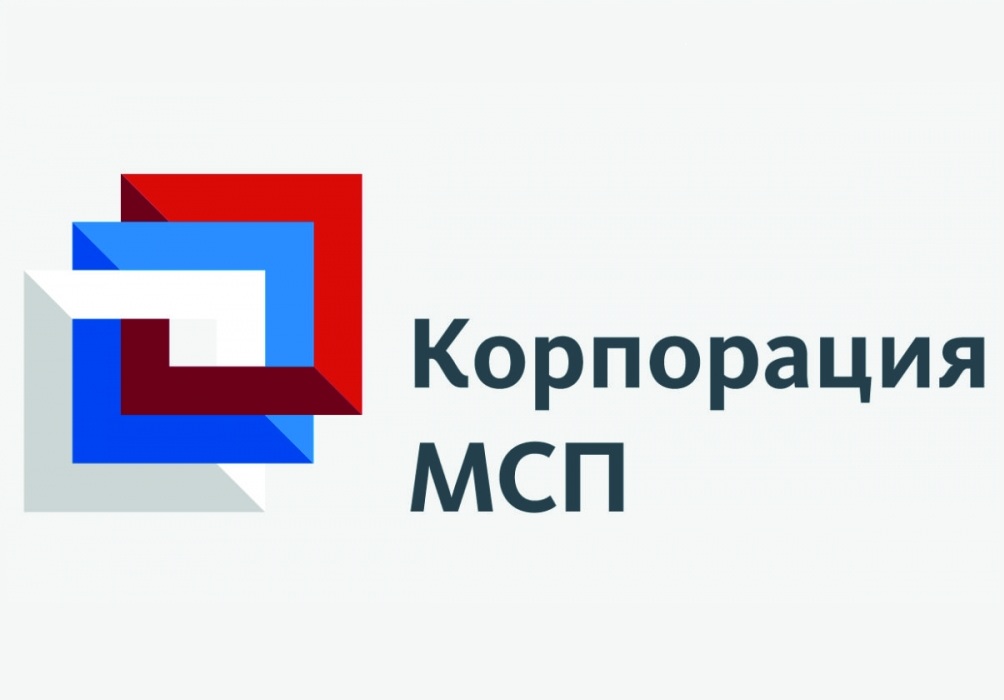 О «зонтичном» механизме поручительств Корпорации «МСП»