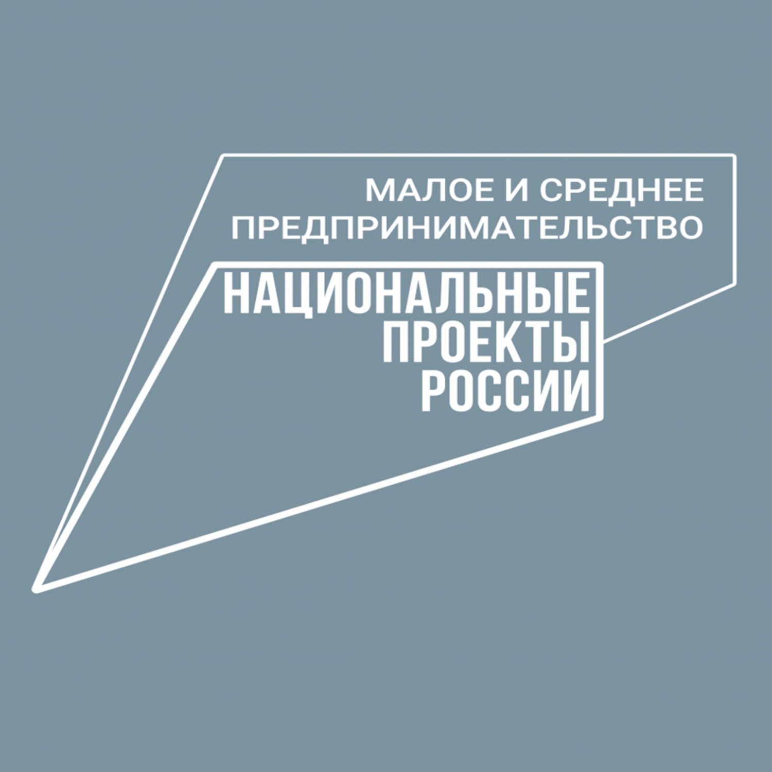 В рамках Национальной гарантийной системы региональные МСП привлекли более 50 млн рублей В рамках Национальной гарантийной системы региональные МСП привлекли более 50 млн рублей