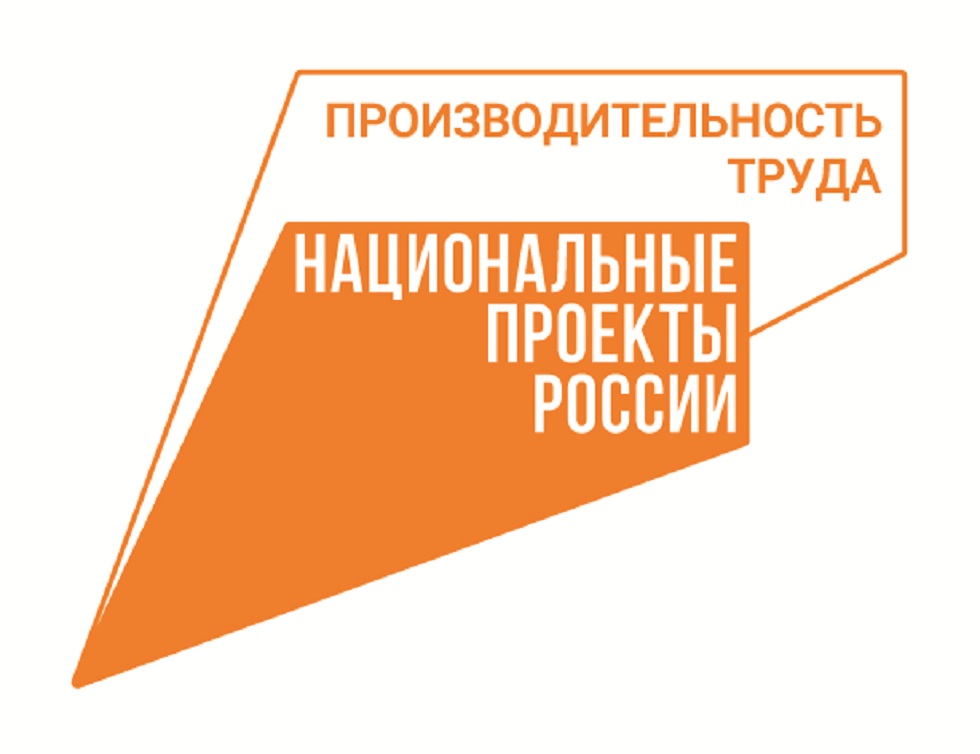 Производительность труда в Пензенской области выросла на 20 %