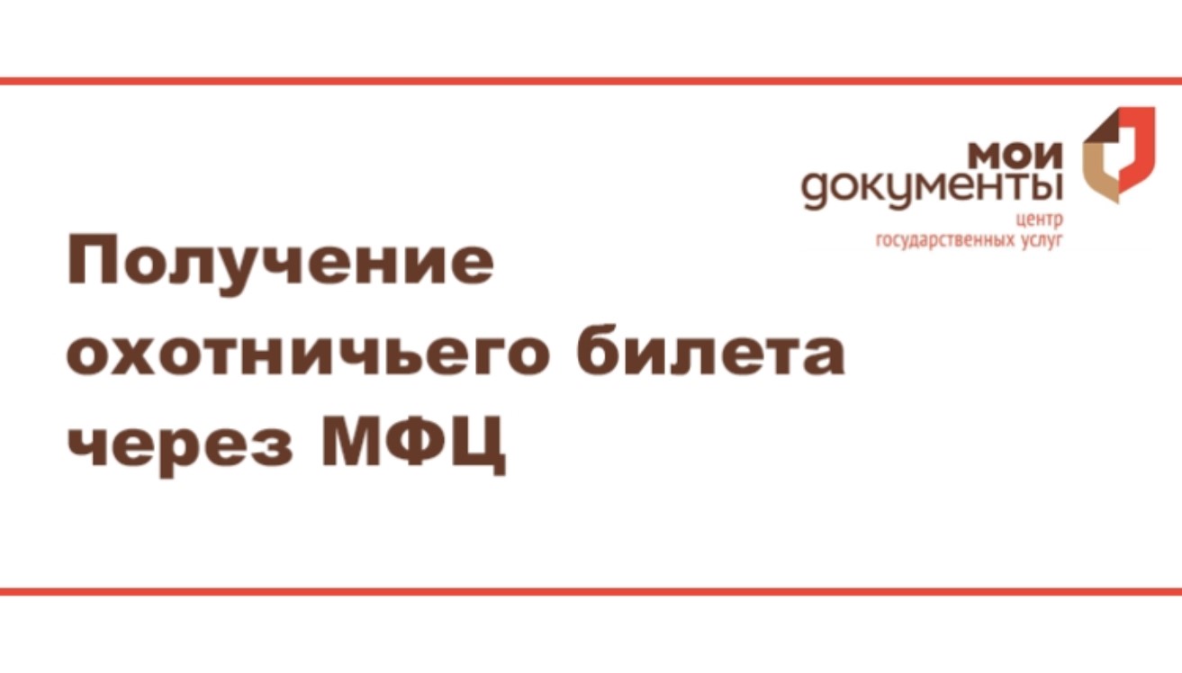 Оформление охотничьего билета доступно в центрах «Мои документы» Оформление охотничьего билета доступно в центрах «Мои документы»