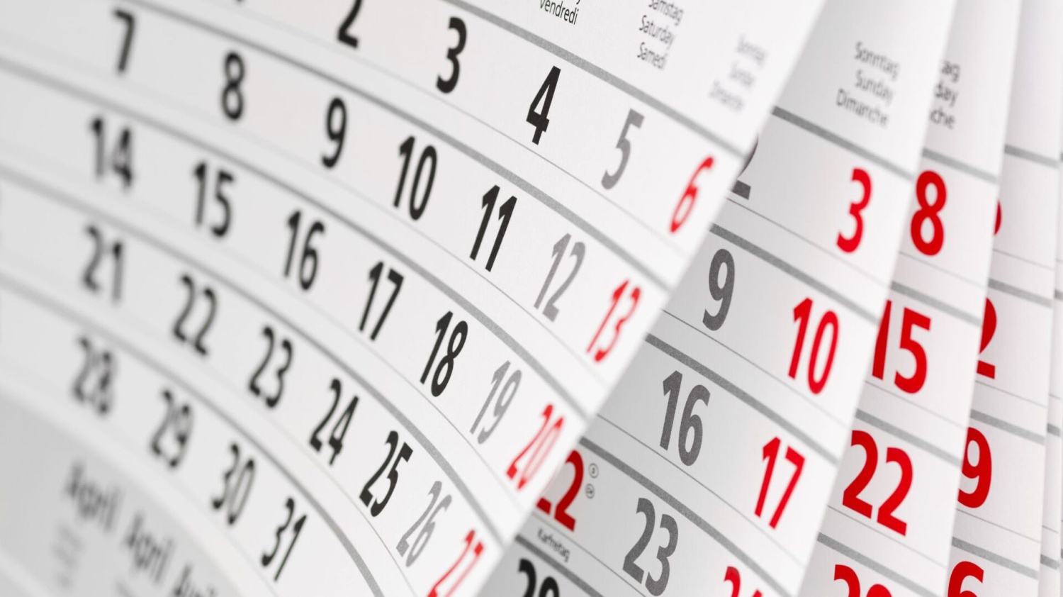 Календарь предпринимателя на ноябрь 2024 года Календарь предпринимателя на ноябрь 2024 года
