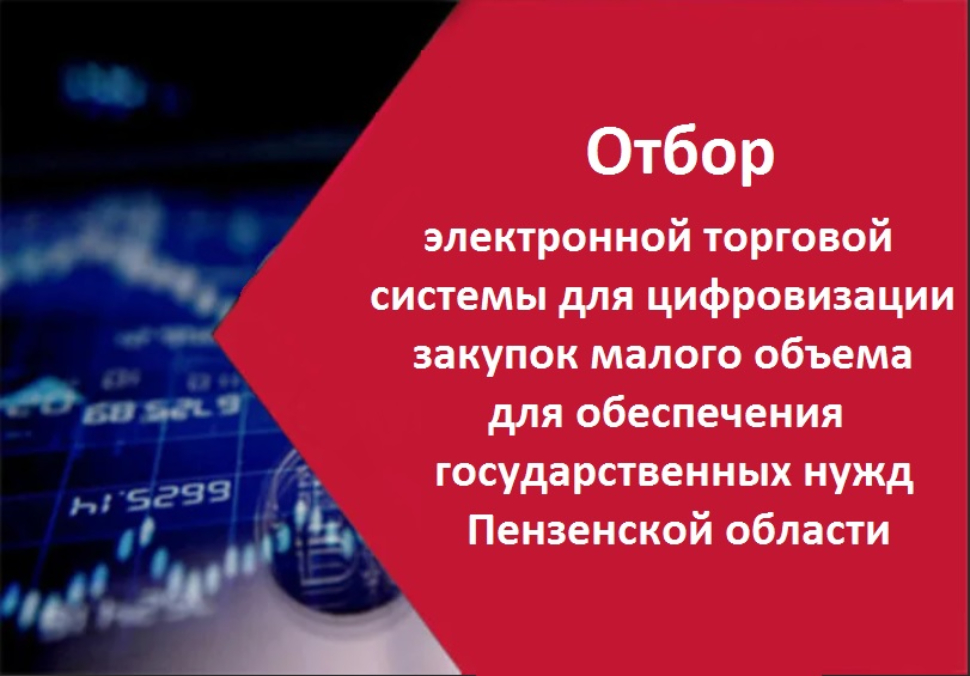Проведение отбора электронной торговой системы для цифровизации закупок малого объема для обеспечения государственных нужд Пензенской области