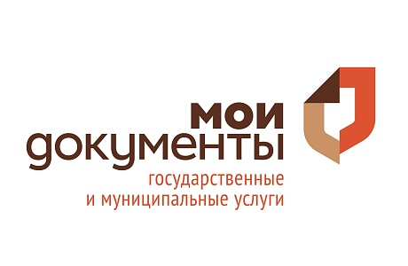 Более 233 тысяч услуг оказано в центрах «Мои Документы»  Пензенской области с начала 2025 года