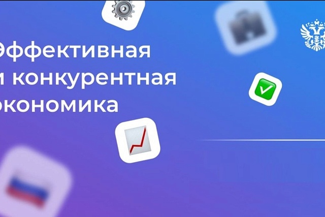 Объем закупок у самозанятых в первом полугодии 2025 года достиг 43,1 млн рублей
