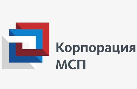 Каждый 3-й рубль господдержки бизнес из приоритетных отраслей получил с «зонтичным» поручительством Корпорации МСП