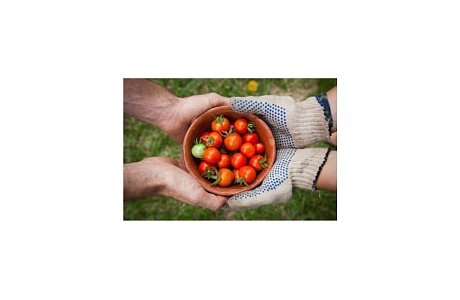 Предприниматели смогут продавать свежие продукты на Озон