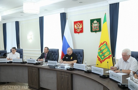 Губернатор принял участие в заседании Совета при полпреде Президента РФ в ПФО