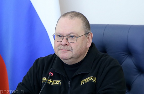 Губернатор обсудил с региональным кабинетом министров проект регионального бюджета на 2025-2027 годы