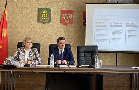 Алмаз Хакимов встретился с предпринимателями Башмаковского района